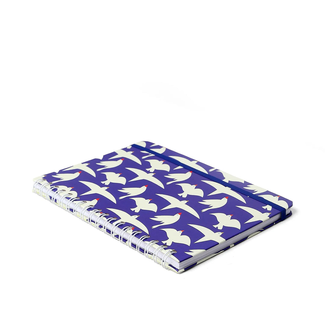 Caderno Colegial 17x24 - Cicero - Litoral - Revoada Azul - Pautado - 1 Matéria