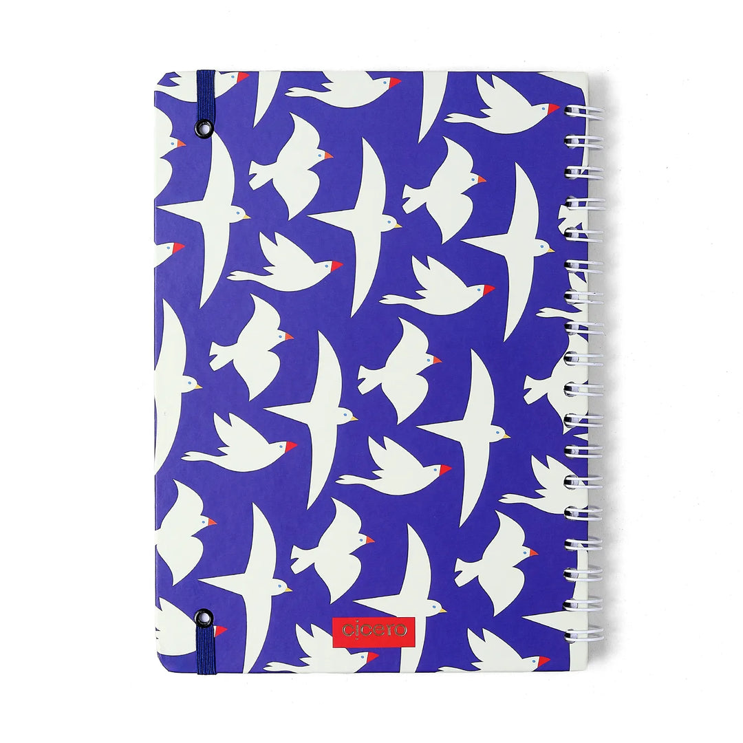 Caderno Colegial 17x24 - Cicero - Litoral - Revoada Azul - Pautado - 1 Matéria