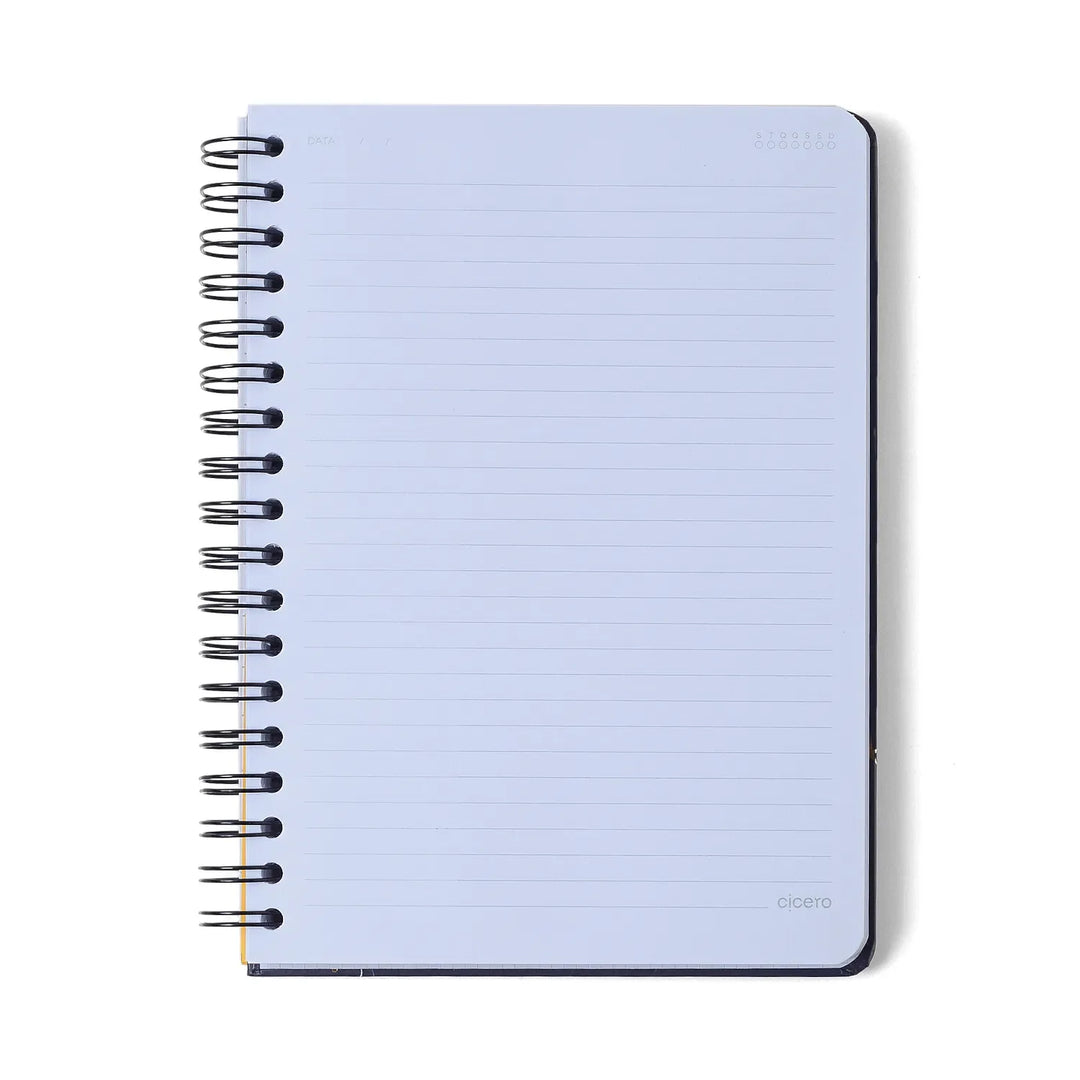 Caderno Colegial - Cicero - Passeio dos Cisnes - 17x24 - 10 Matérias - 160 Folhas